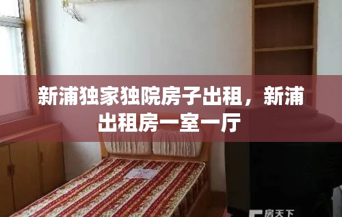 新浦独家独院房子出租，新浦出租房一室一厅 