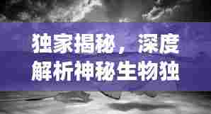 独家揭秘，深度解析神秘生物独家龟的来龙去脉