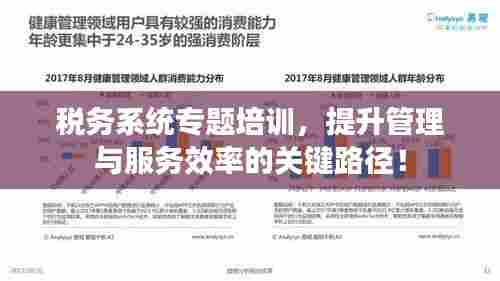 税务系统专题培训，提升管理与服务效率的关键路径！