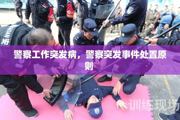 警察工作突发病，警察突发事件处置原则 