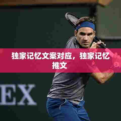 独家记忆文案对应，独家记忆推文 