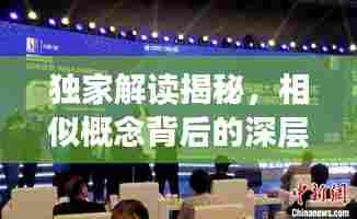 独家解读揭秘，相似概念背后的深层含义探索