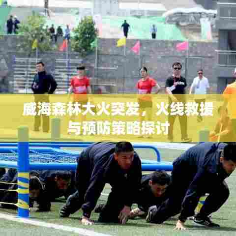 威海森林大火突发，火线救援与预防策略探讨
