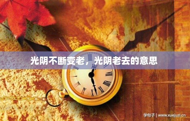 光阴不断变老，光阴老去的意思 