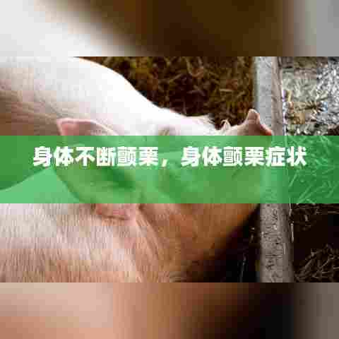 身体不断颤栗，身体颤栗症状 