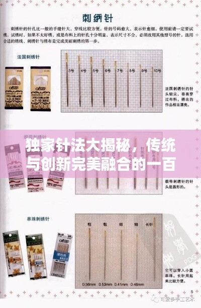 独家针法大揭秘，传统与创新完美融合的一百种针法
