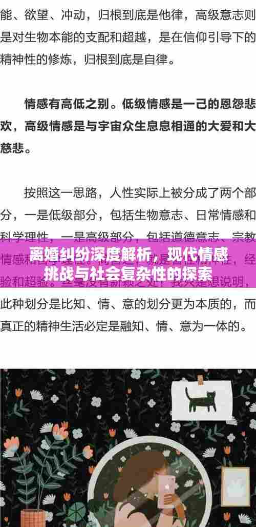 离婚纠纷深度解析，现代情感挑战与社会复杂性的探索