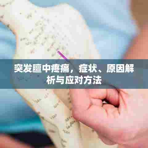 突发膻中疼痛，症状、原因解析与应对方法