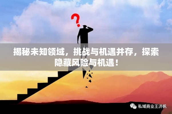 揭秘未知领域，挑战与机遇并存，探索隐藏风险与机遇！
