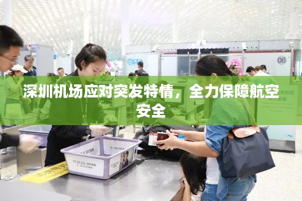 深圳机场应对突发特情，全力保障航空安全
