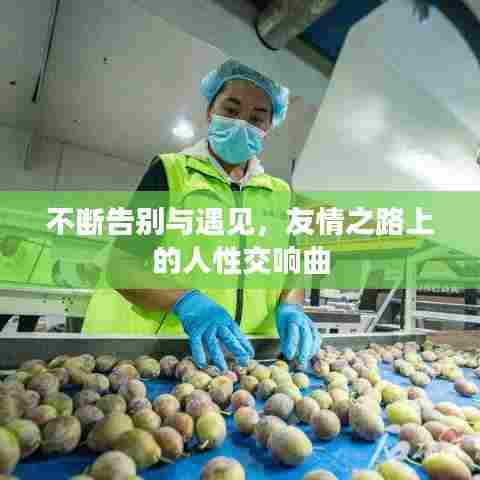 不断告别与遇见，友情之路上的人性交响曲