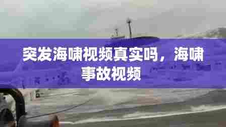 突发海啸视频真实吗，海啸事故视频 