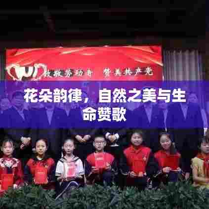 花朵韵律，自然之美与生命赞歌