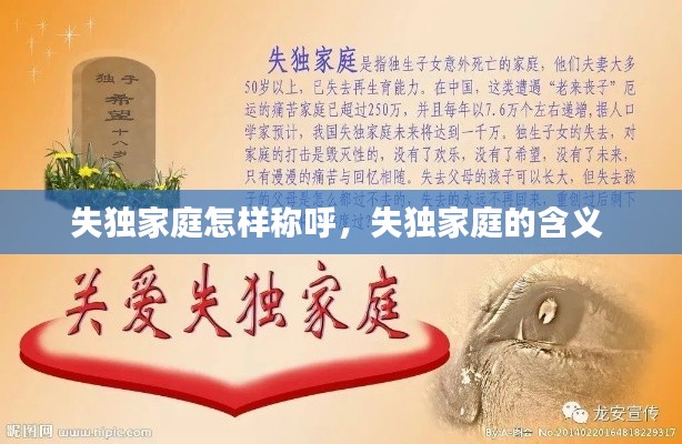 失独家庭怎样称呼，失独家庭的含义 
