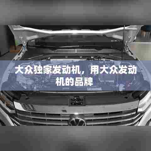 大众独家发动机，用大众发动机的品牌 