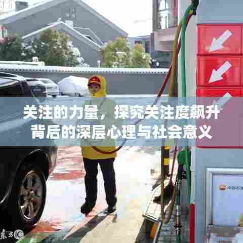 关注的力量，探究关注度飙升背后的深层心理与社会意义