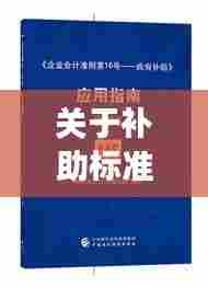 关于补助标准的落实请示，细节解读与实际应用指南