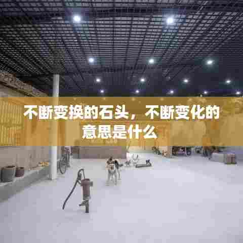 不断变换的石头，不断变化的意思是什么 