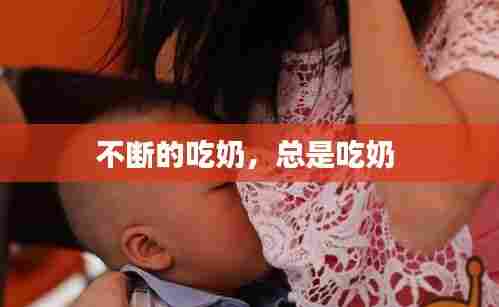 不断的吃奶，总是吃奶 