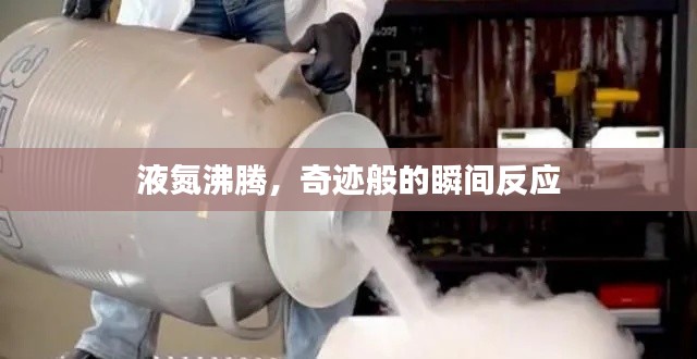 液氮沸腾，奇迹般的瞬间反应