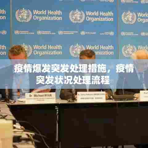疫情爆发突发处理措施，疫情突发状况处理流程 