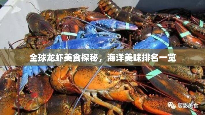 全球龙虾美食探秘，海洋美味排名一览