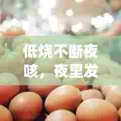 低烧不断夜咳，夜里发低烧还咳嗽是什么病 