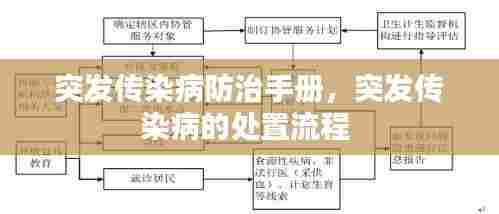 突发传染病防治手册，突发传染病的处置流程 