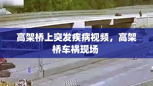 高架桥上突发疾病视频，高架桥车祸现场 