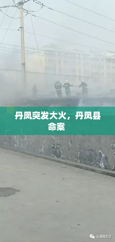 丹凤突发大火，丹凤县命案 