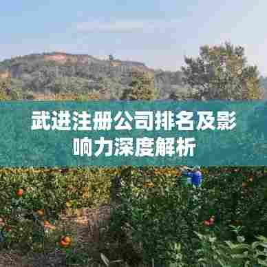 武进注册公司排名及影响力深度解析