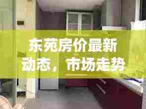 东苑房价最新动态，市场走势解析与购房指南全攻略