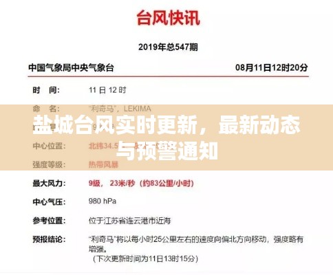 盐城台风实时更新，最新动态与预警通知
