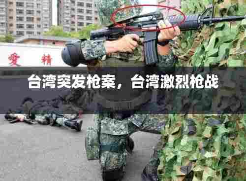 台湾突发枪案，台湾激烈枪战 