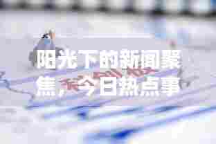 阳光下的新闻聚焦，今日热点事件速递