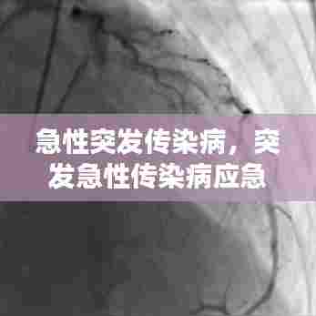 急性突发传染病，突发急性传染病应急预案 