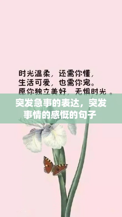 突发急事的表达，突发事情的感慨的句子 