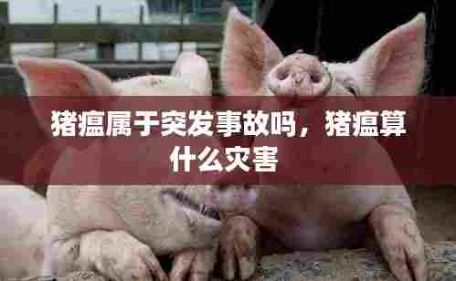 猪瘟属于突发事故吗，猪瘟算什么灾害 