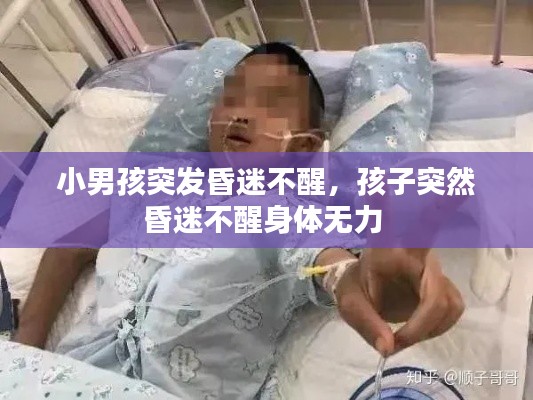 小男孩突发昏迷不醒，孩子突然昏迷不醒身体无力 