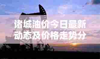 诸城油价今日最新动态及价格走势分析