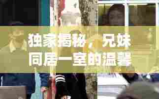 独家揭秘，兄妹同居一室的温馨日常