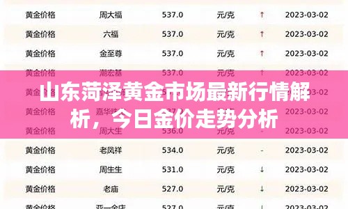 山东菏泽黄金市场最新行情解析，今日金价走势分析