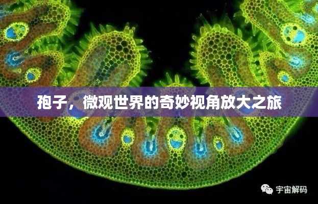 刬旧谋新 第6页