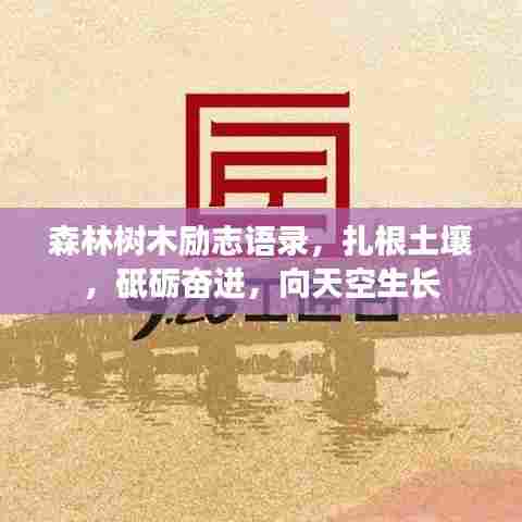 森林树木励志语录，扎根土壤，砥砺奋进，向天空生长