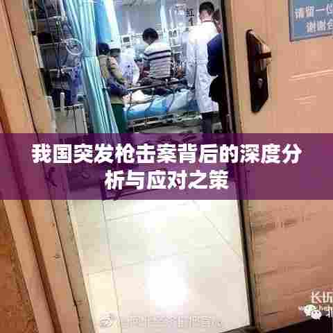 我国突发枪击案背后的深度分析与应对之策