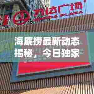 飞鸟依人 第6页