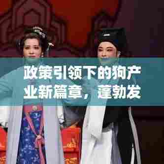 政策引领下的狗产业新篇章，蓬勃发展与创新升级