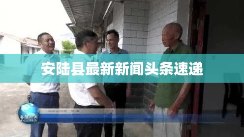 安陆县最新新闻头条速递