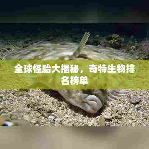全球怪胎大揭秘，奇特生物排名榜单