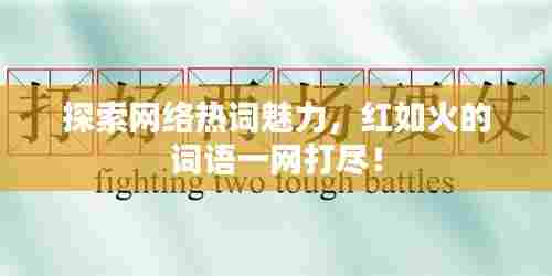 探索网络热词魅力，红如火的词语一网打尽！